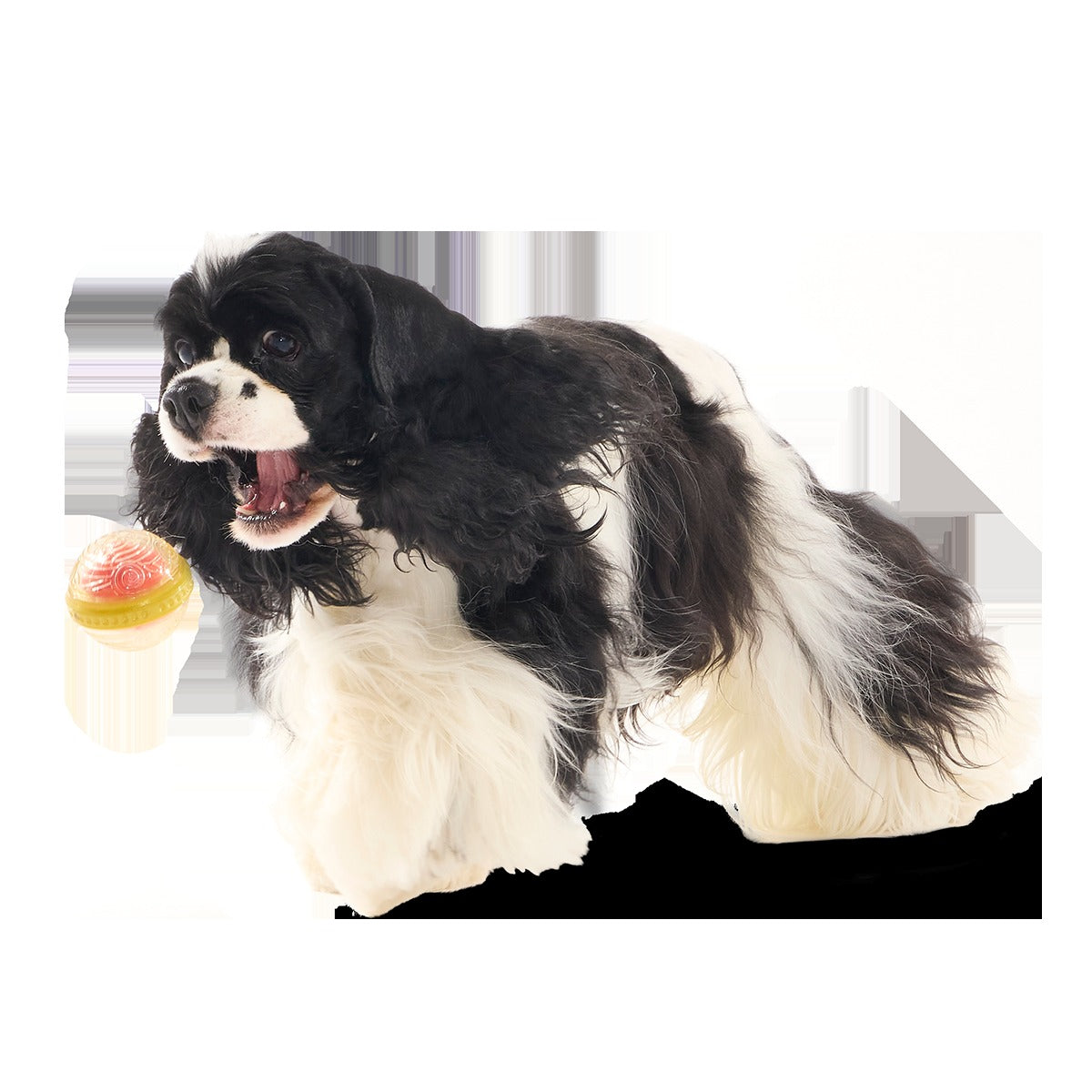 RemembrallTM Super Chewer Durable Fetch Dog Toy