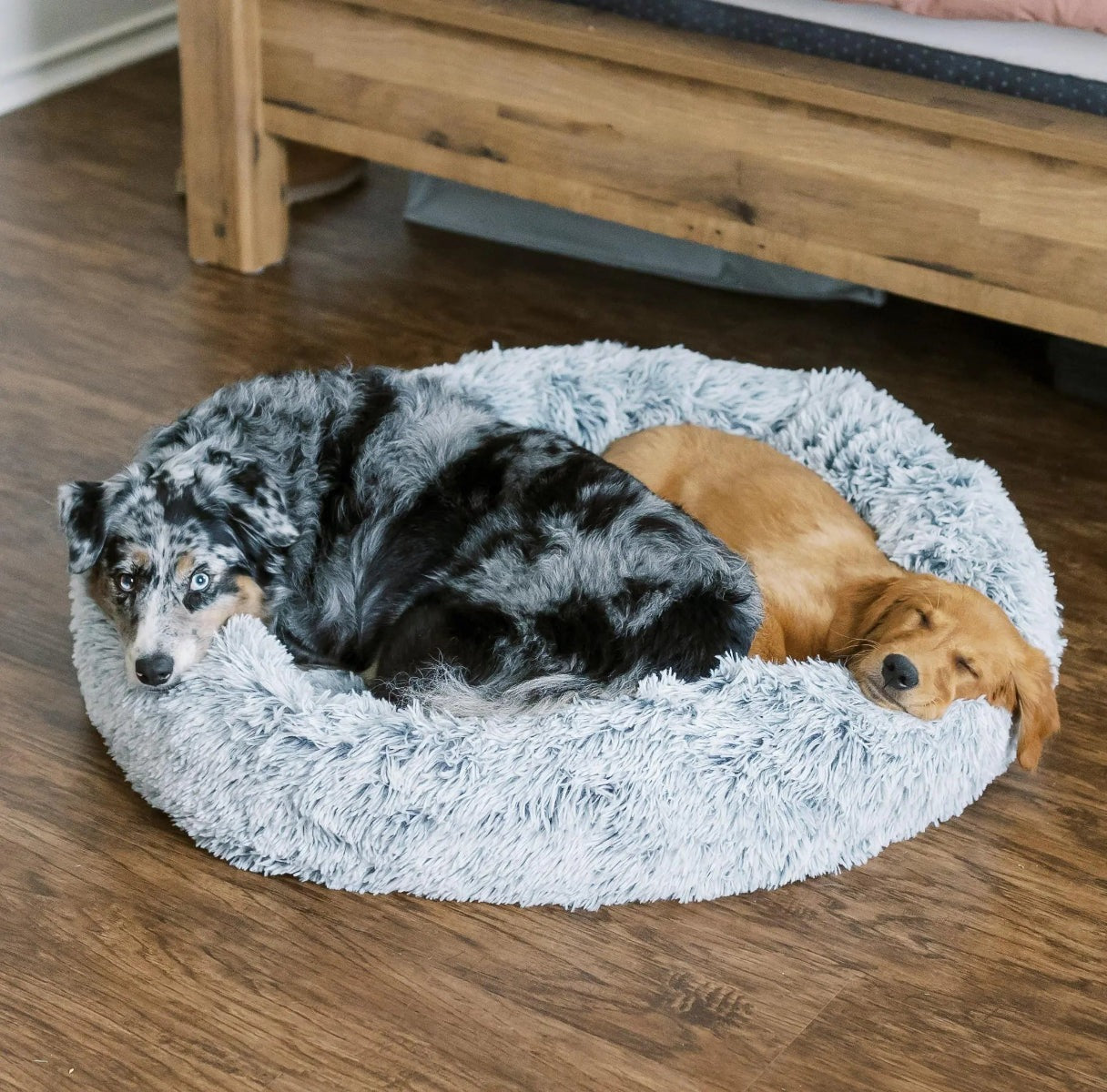 Cuddler Bed