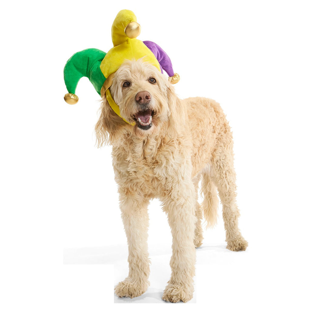 Fat Chewsday Hat Plush Wearable Tug Dog Toy