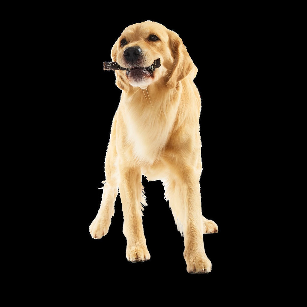 Beef Braided Collagen Dog Chews, 5 Ct