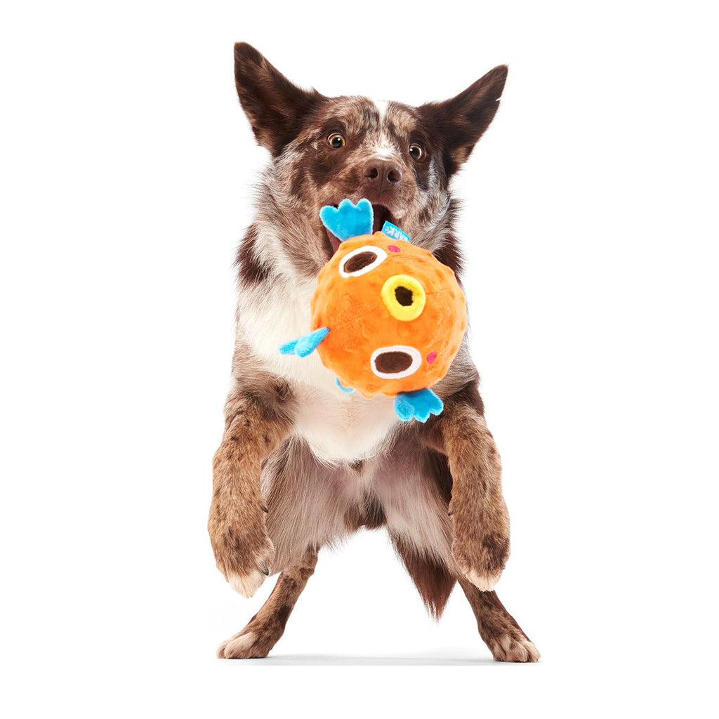 Air Head Plush 2-in-1 + Fetch Dog Toy