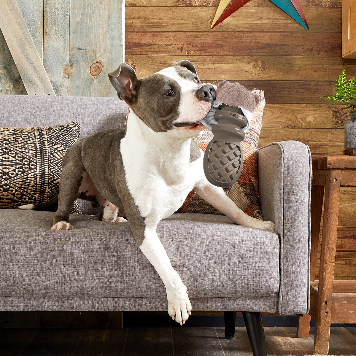 P.B. Beaver Super Chewer Durable 2-in-1 + Enrichment Dog Toy