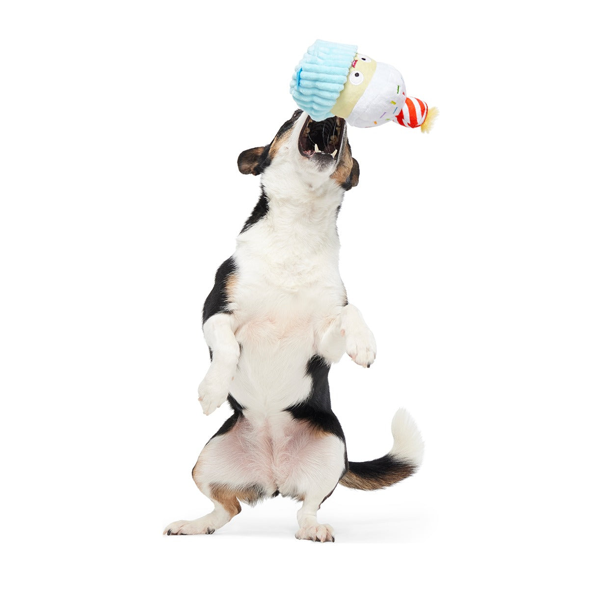 Wishful Tricia Plush Tug Dog Toy