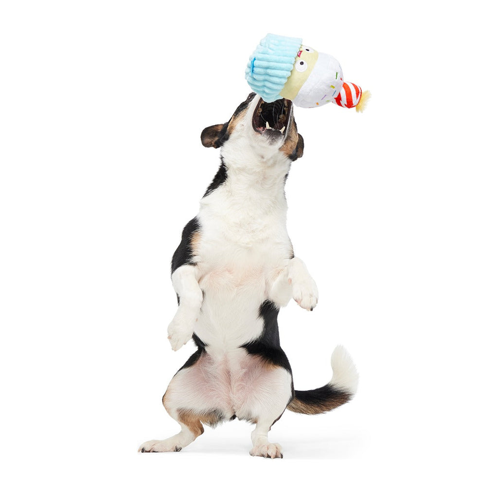 Wishful Tricia Plush Tug Dog Toy