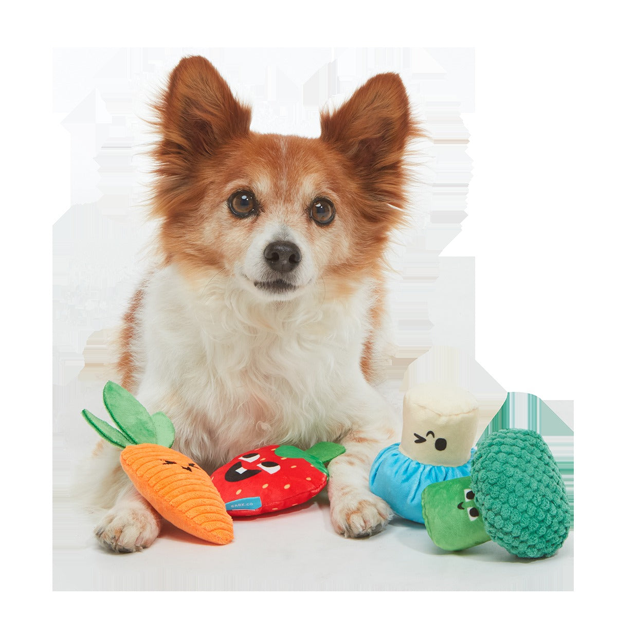 Veggie Patch Pals Plush Multi-Part Dog Toy