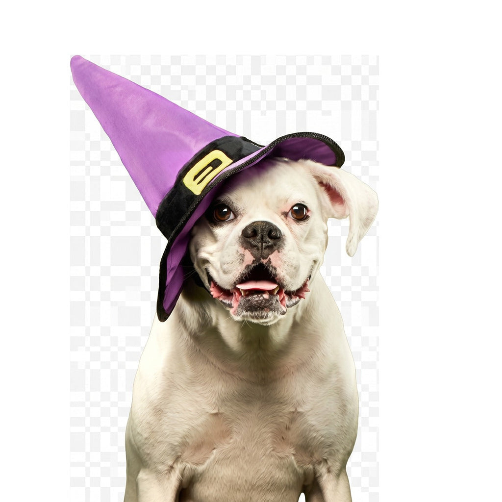Witch's Scritches Hat Super Chewer Durable Wearable Dog Toy