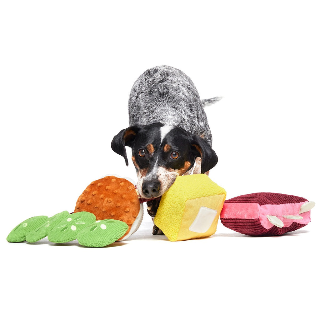 Squeak & Three Plush Multi-Part Dog Toy