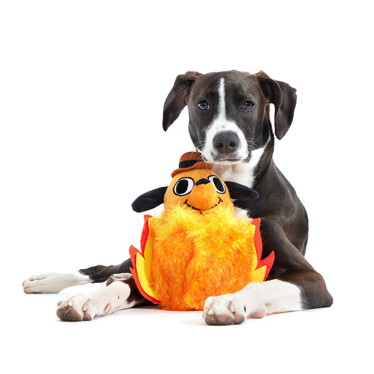 This is Fine Plush Multi-Part + Enrichment Dog Toy