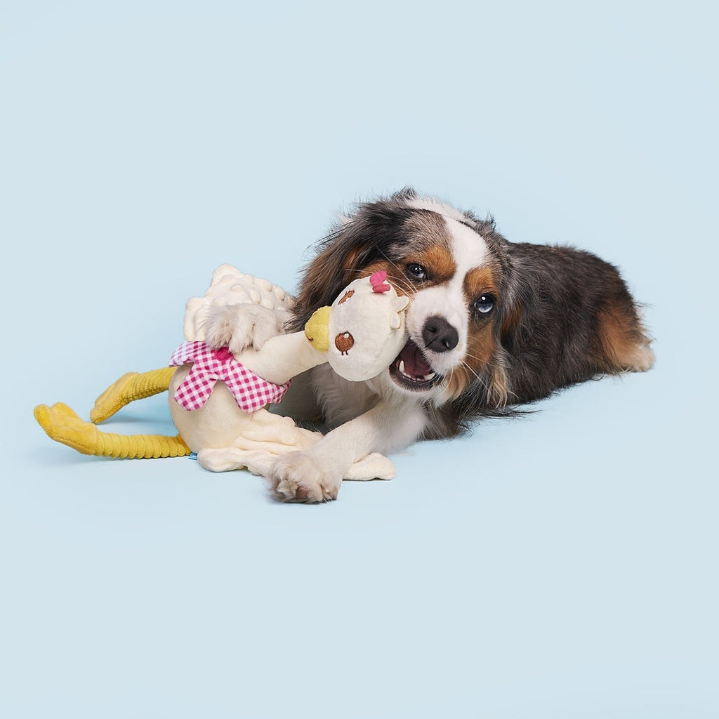 Gingham Goose Plush Extra-Large + Tug Dog Toy