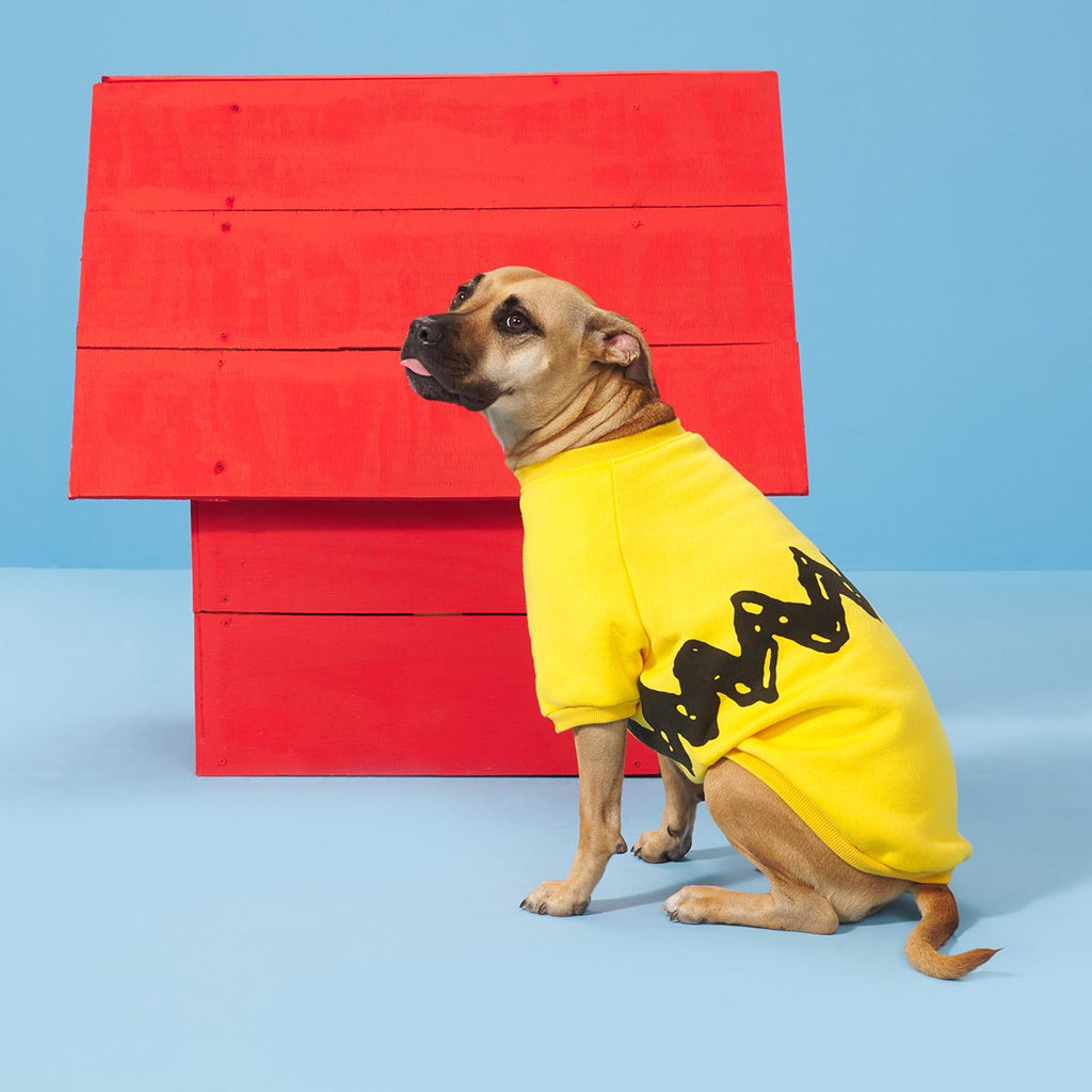 Peanuts Dog Sweatshirt
