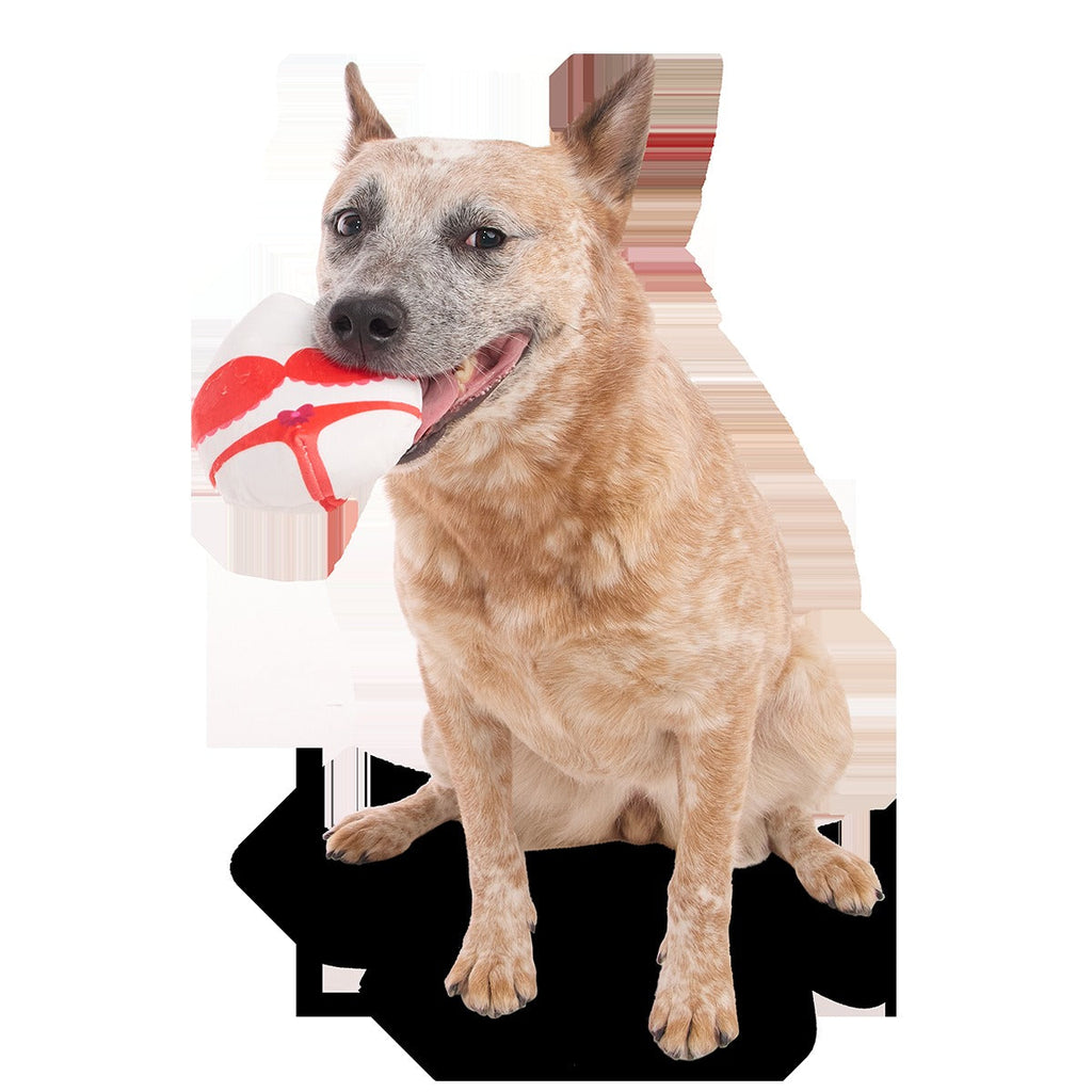 Nurse McSpicy Plush 2-in-1 + Tug Dog Toy