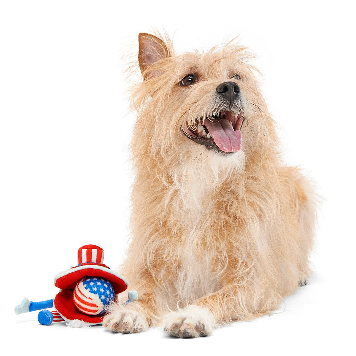 Uncle Clam Plush Multi-Part + Fetch + Enrichment Dog Toy