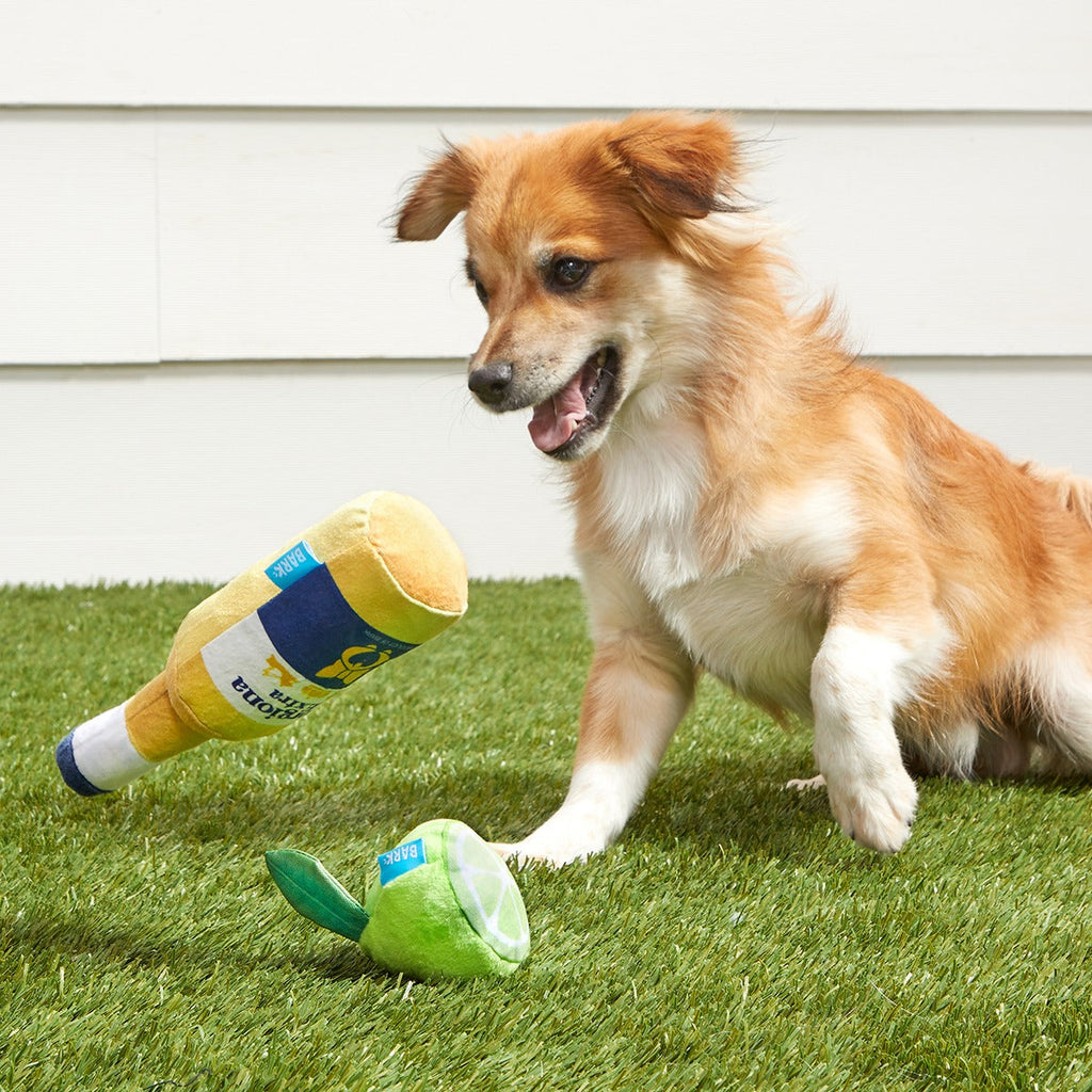 Corgiona With Lime Plush Multi-Part Dog Toy