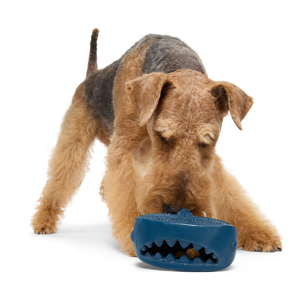 Hammer Fed Shark Super Chewer Durable Enrichment Dog Toy