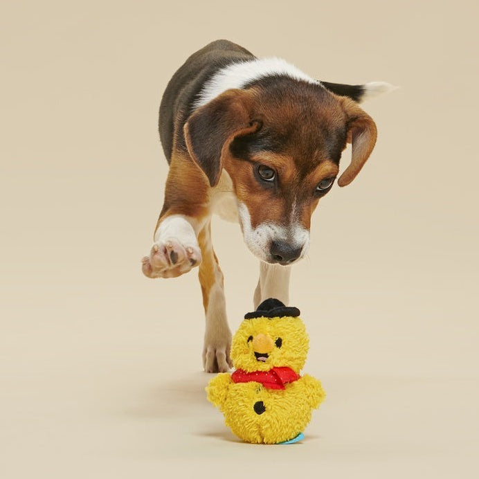 Mark the Yellow Snowman Plush Dog Toy
