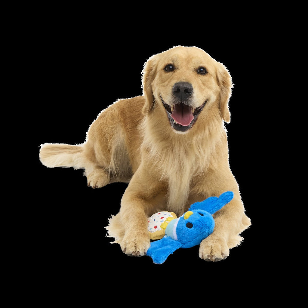 Barry the Blue Bird Plush Tug Dog Toy