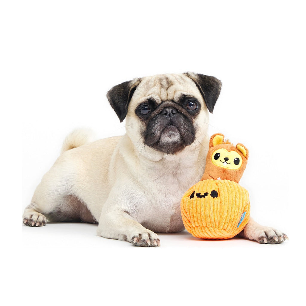Squirrel-O-Lantern Plush Multi-Part + Enrichment Dog Toy