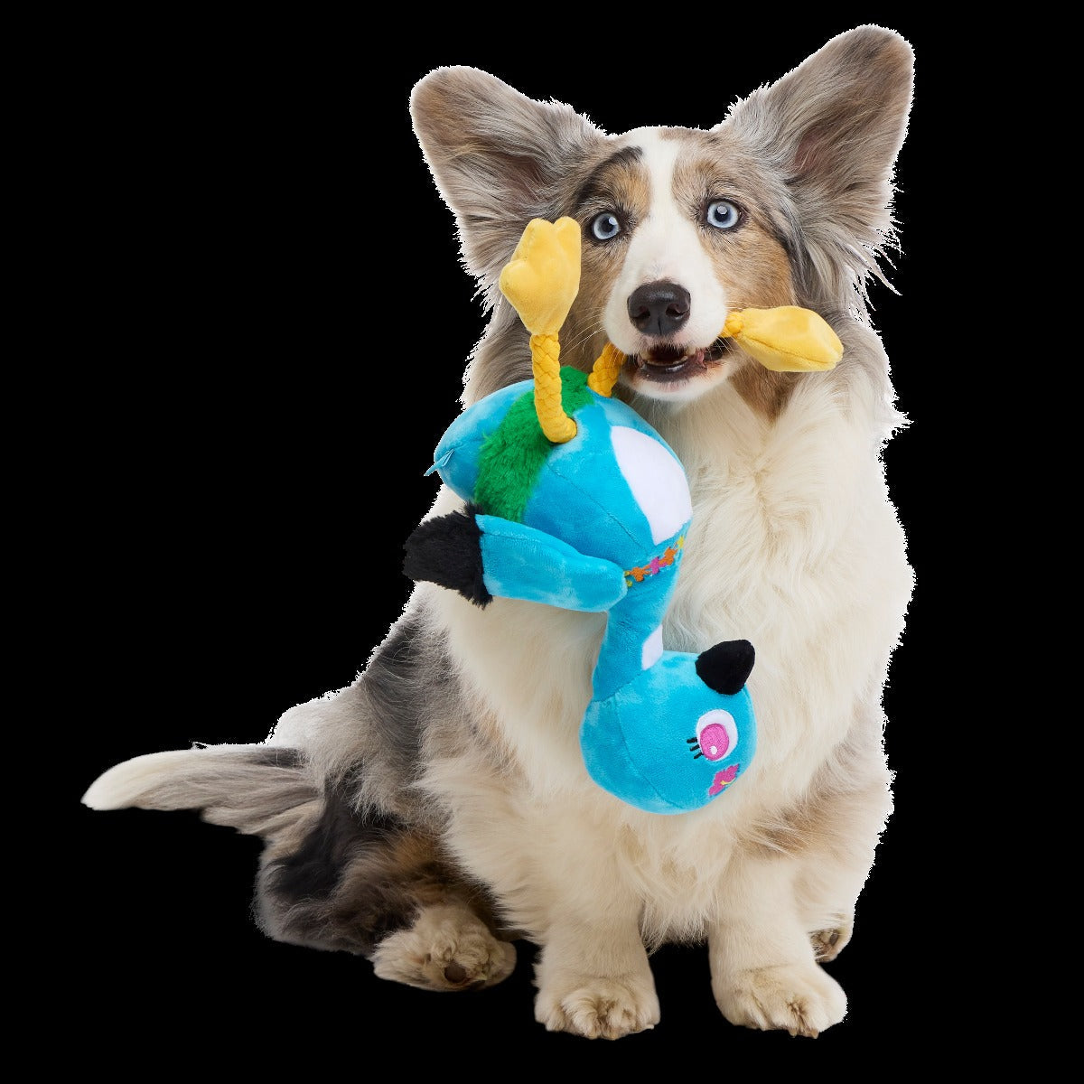 Lele the Nene Goose Plush Tug + Extra-Large Dog Toy