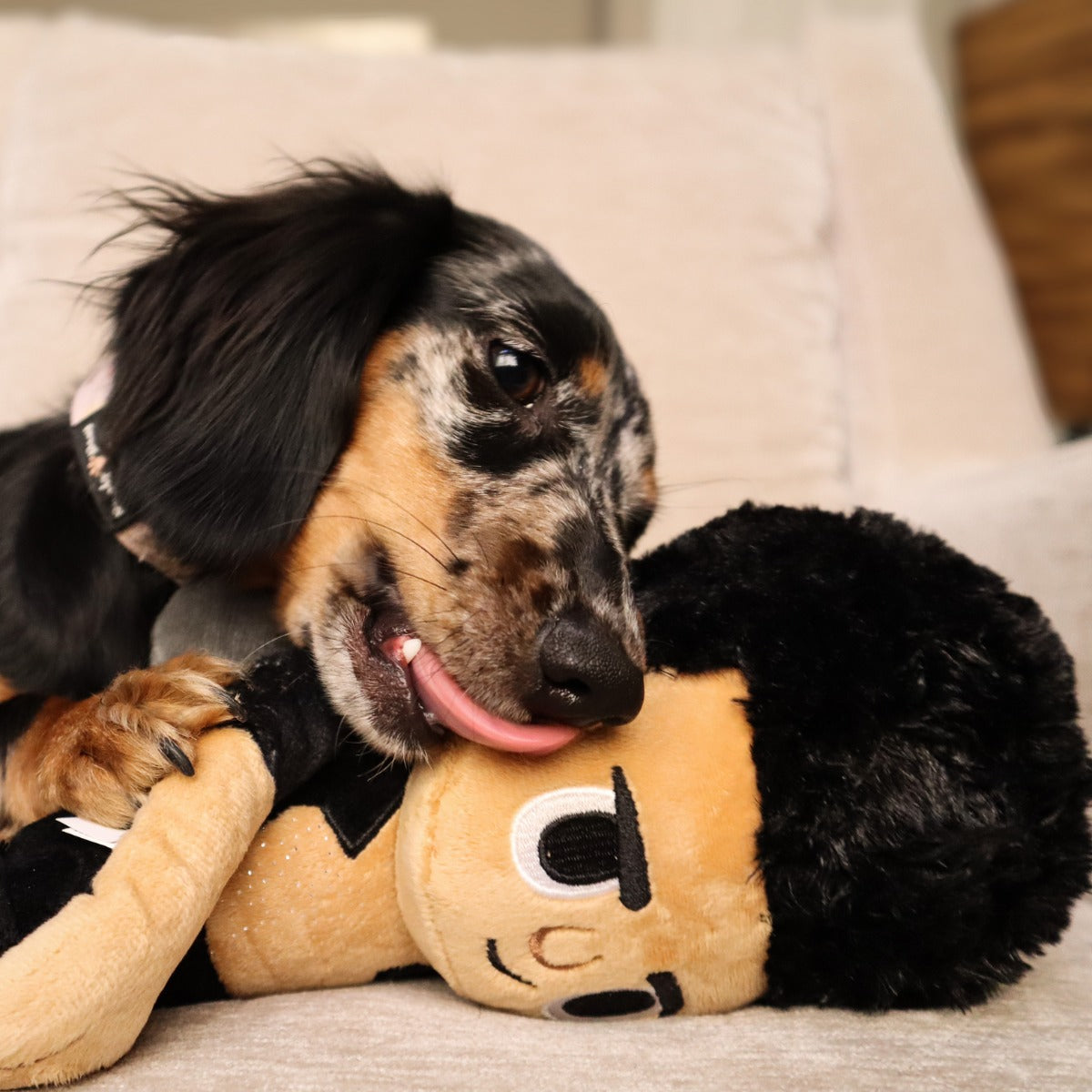 Life Finds A Play Plush Tug Dog Toy