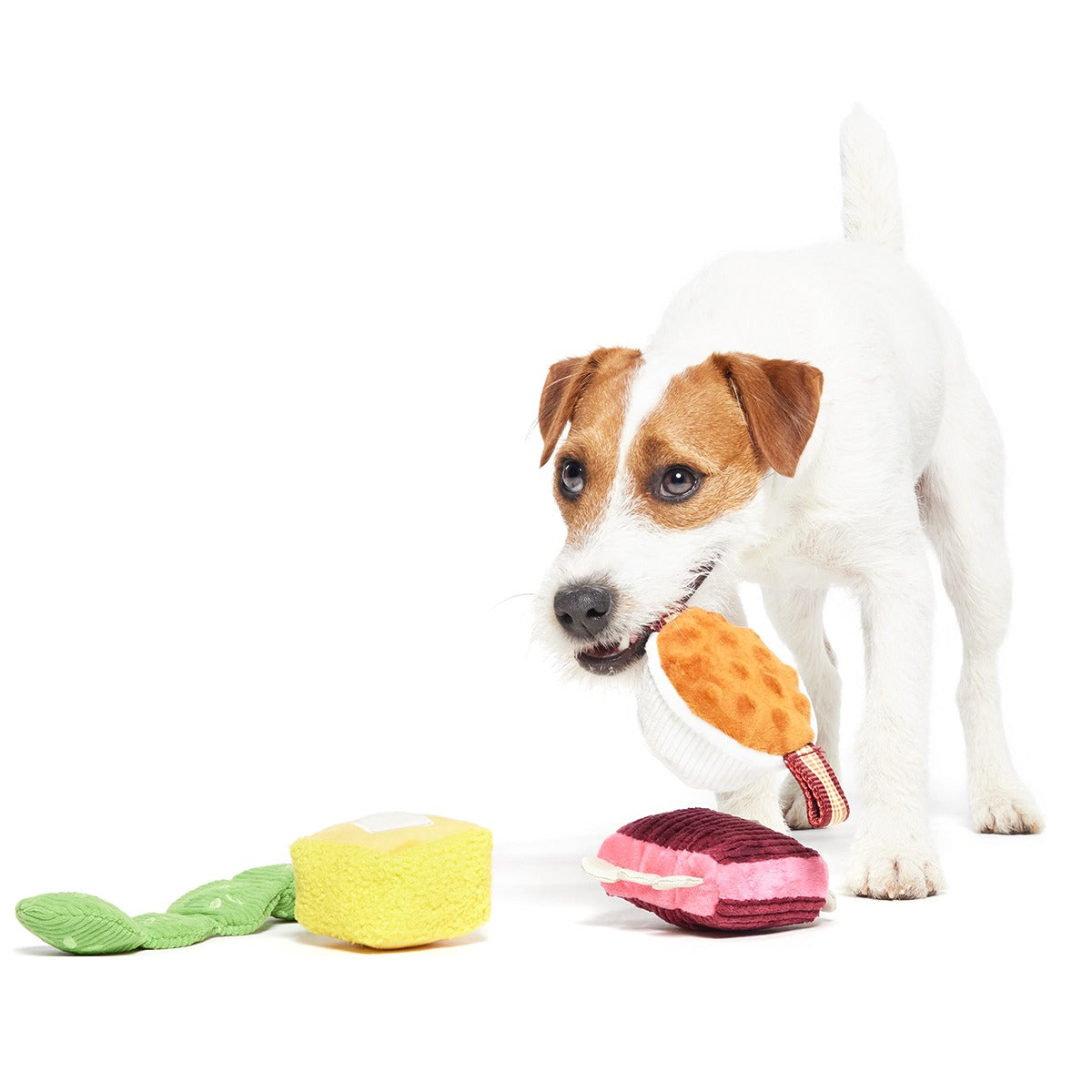 Squeak & Three Plush Multi-Part Dog Toy