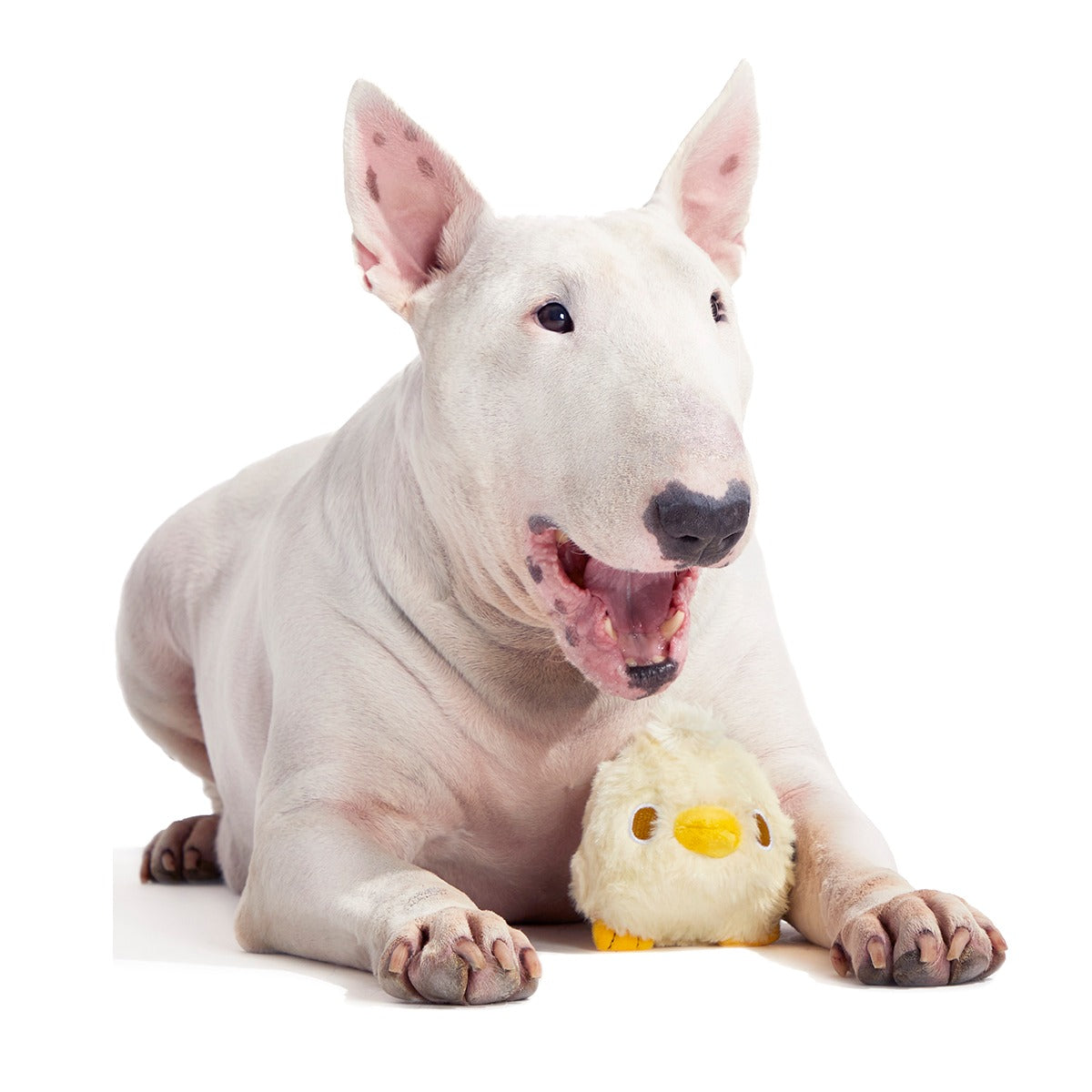 Tough Chick Super Chewer Durable 2-in-1 Dog Toy