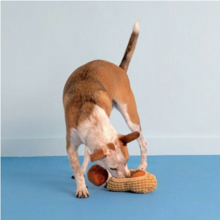 Chester's Nuts Plush Multi-Part & Enrichment Dog Toy
