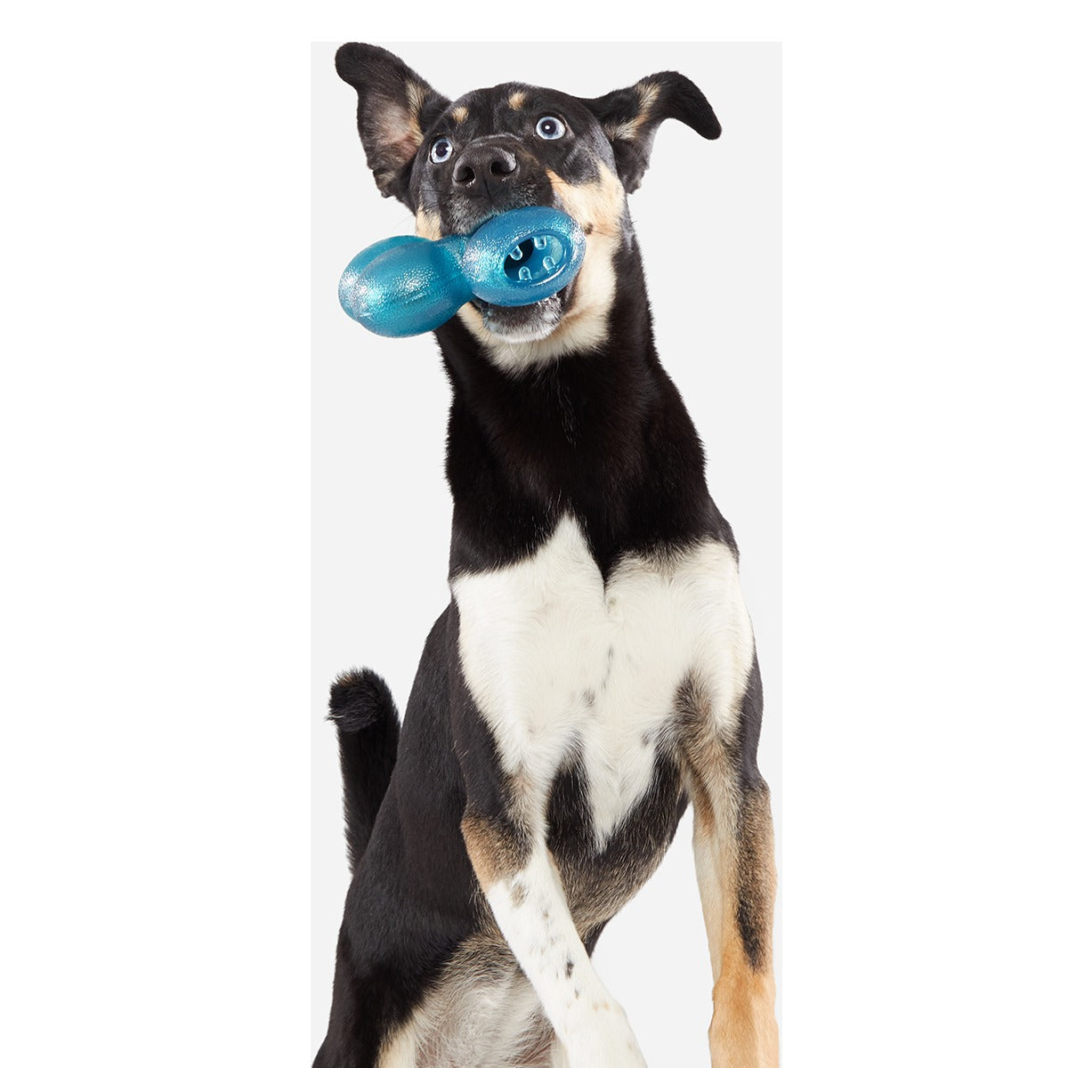 Treat Giver River Super Chewer Durable Enrichment Dog Toy