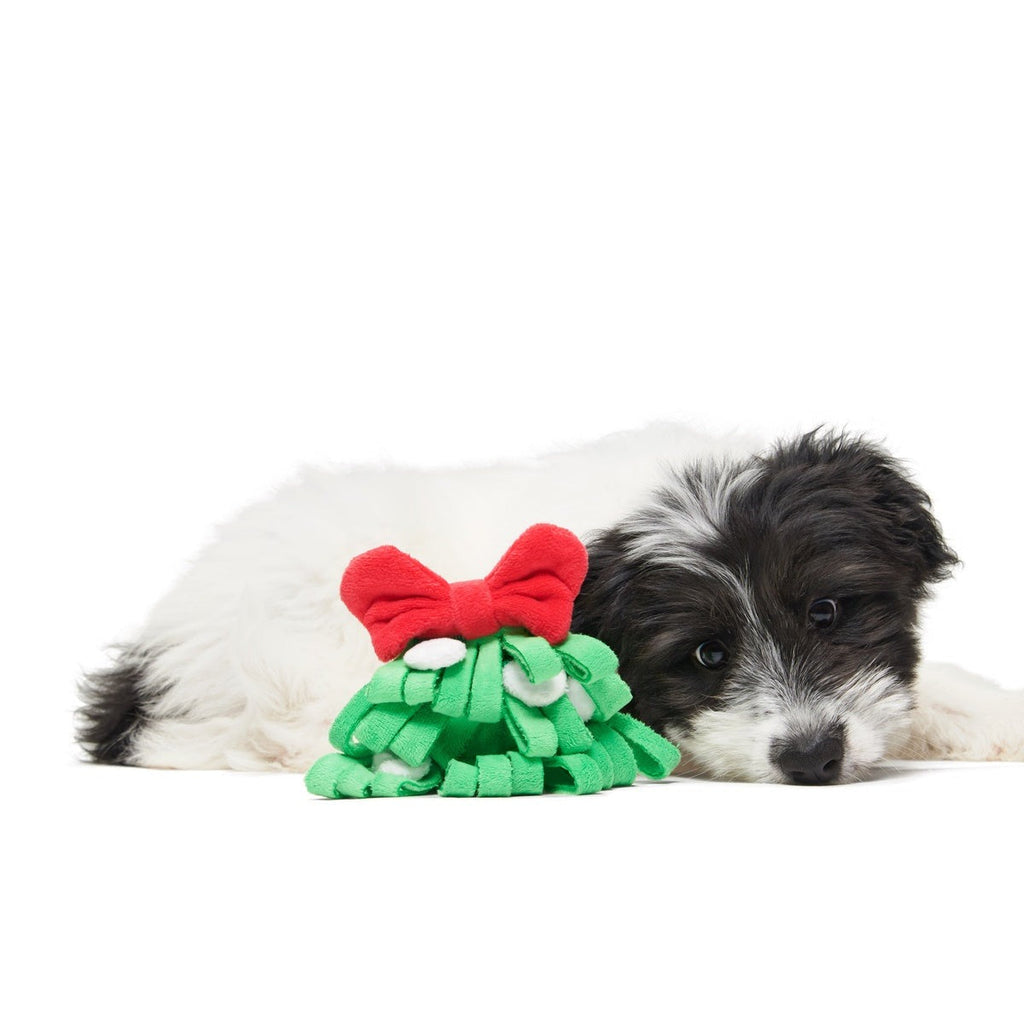Sniffletoe Tug and Rope Plush Enrichment Dog Toy