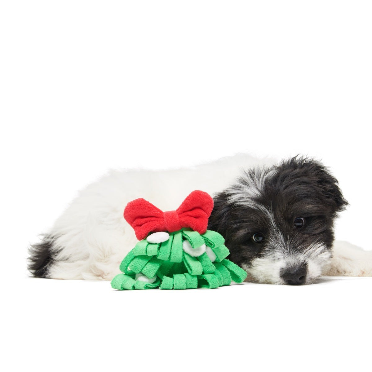 Sniffletoe Tug and Rope Plush Enrichment Dog Toy