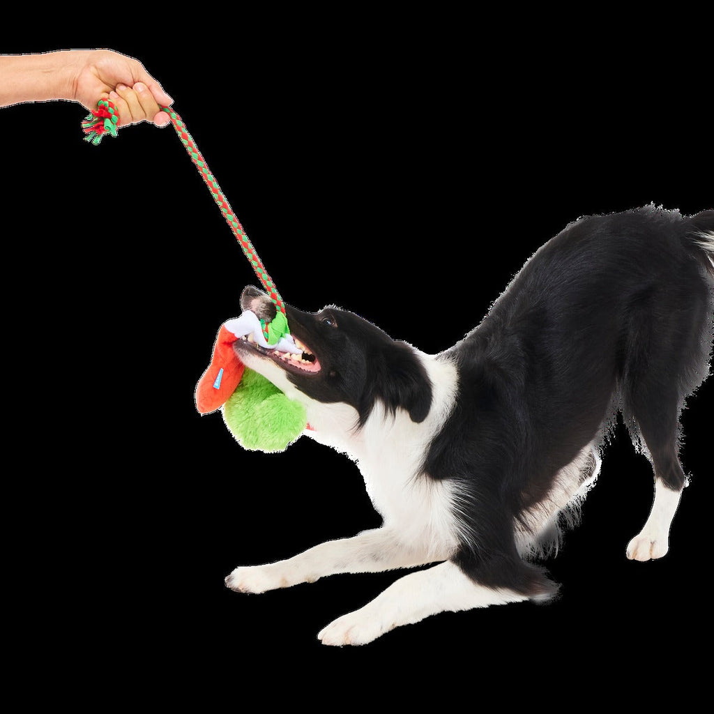 Well Hung Stockings Plush Tug Dog Toy