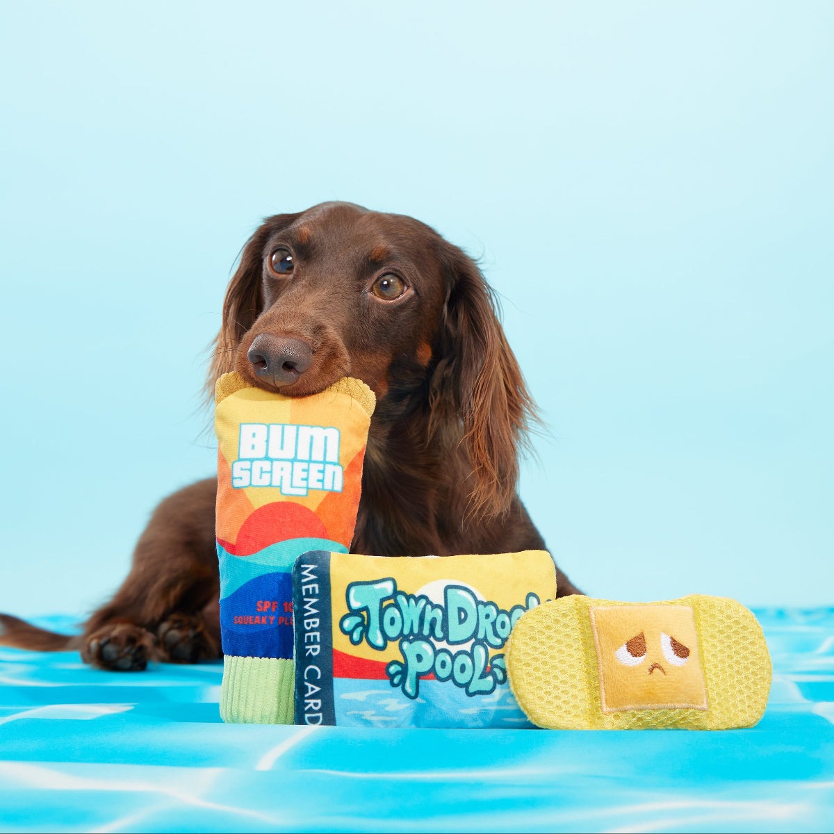 Drool Pool Packup Plush Multi-Part Dog Toy