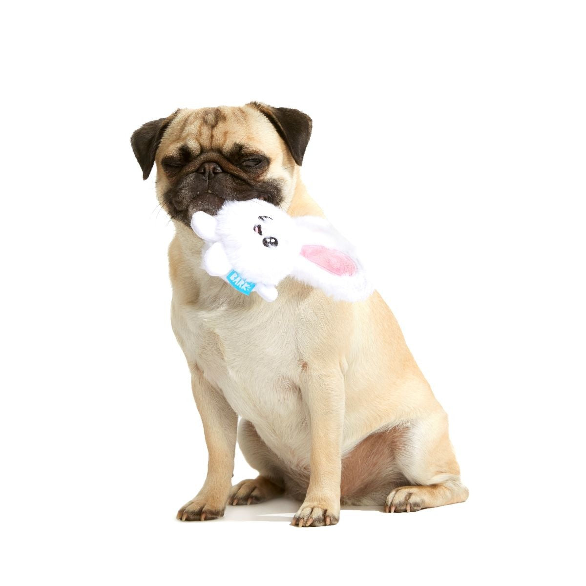 Esther Bunny Plush 2-in-1 Rip and Reveal Dog Toy