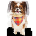 Fall Teddy Dog Bandana
