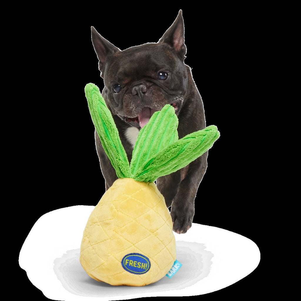 Spiky Pineyapple Plush Tug Dog Toy
