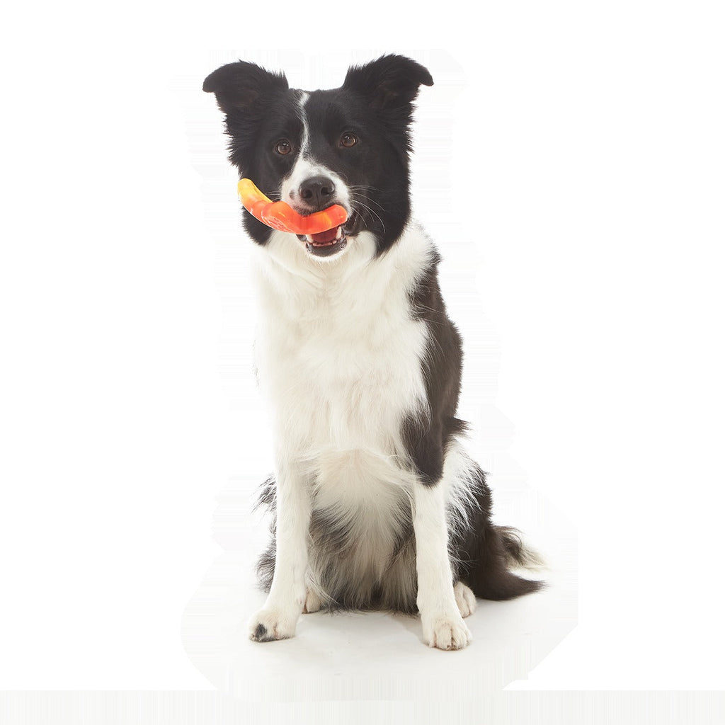 Brawny Butterfly Durable Super Chewer Gnaw Dog Toy