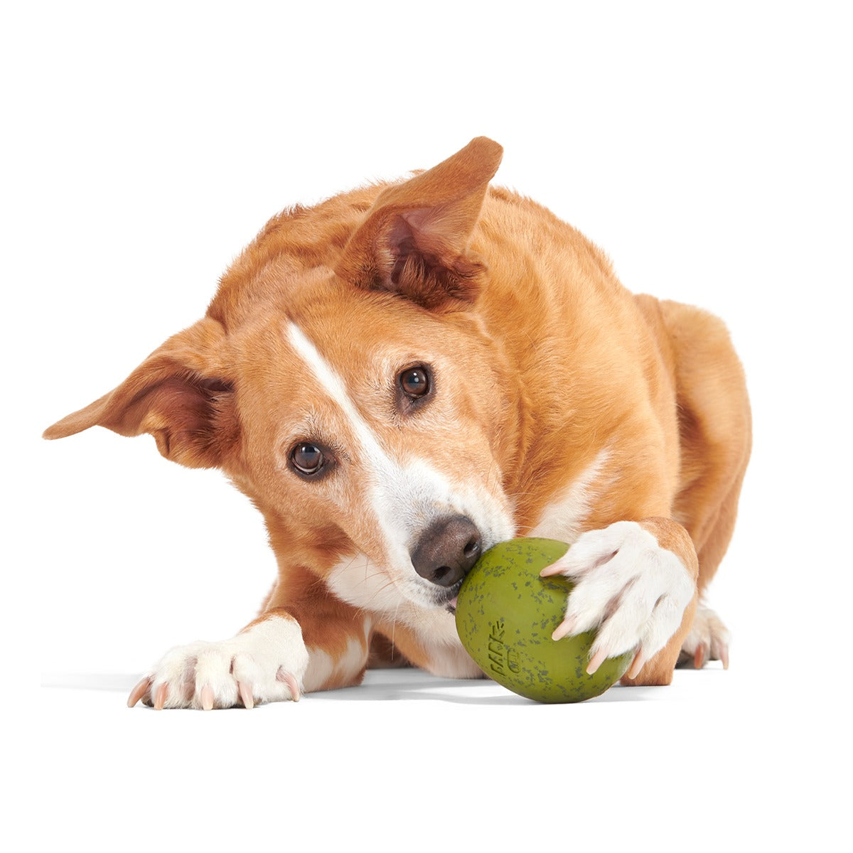 Stuffed Olive Super Chewer Durable Enrichment Dog Toy