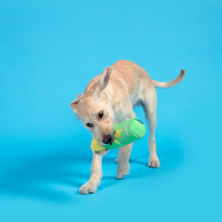 Flingles Can Plush Tug Dog Toy