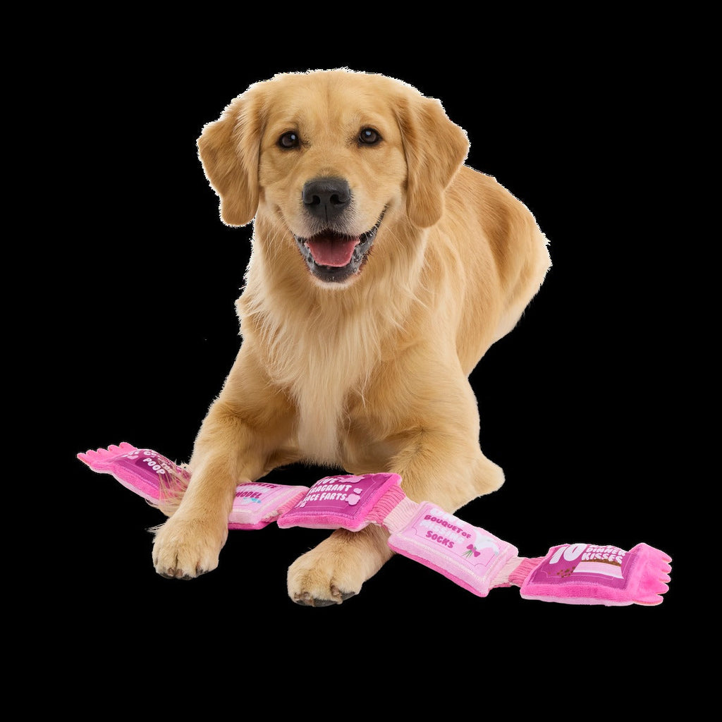 Puppy Love Coupons Plush Tug Dog Toy