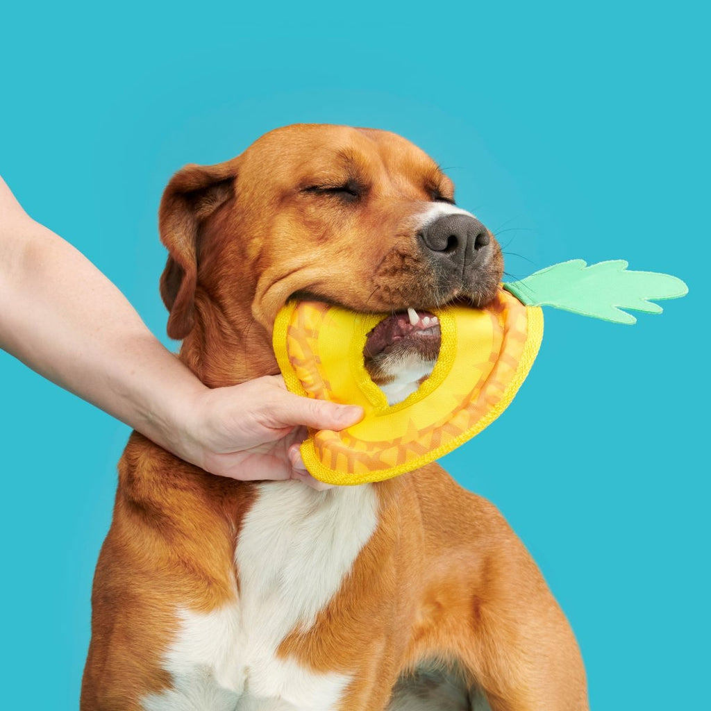 Pineapple Fling Plush Tug + Fetch Dog Toy