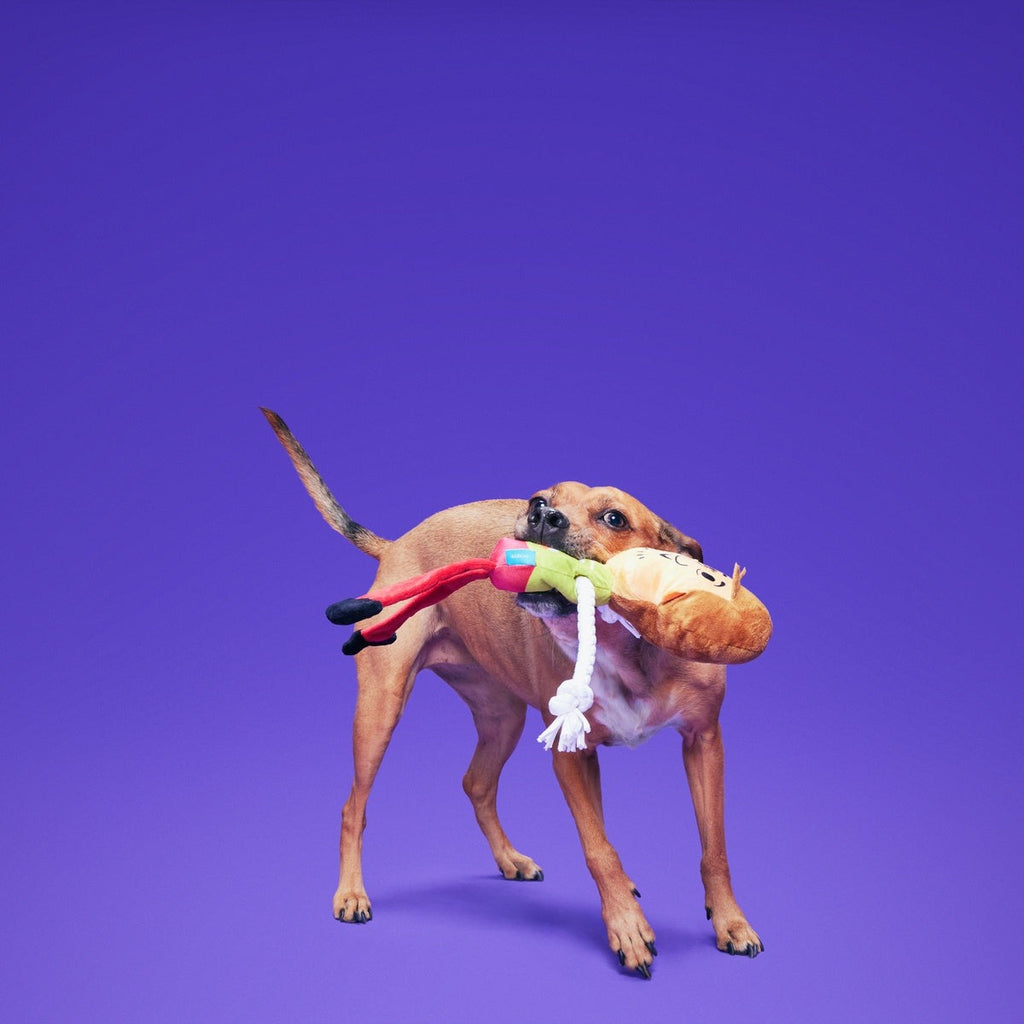 ShaggyTM Skelly Plush Extra-Large + Tug Dog Toy