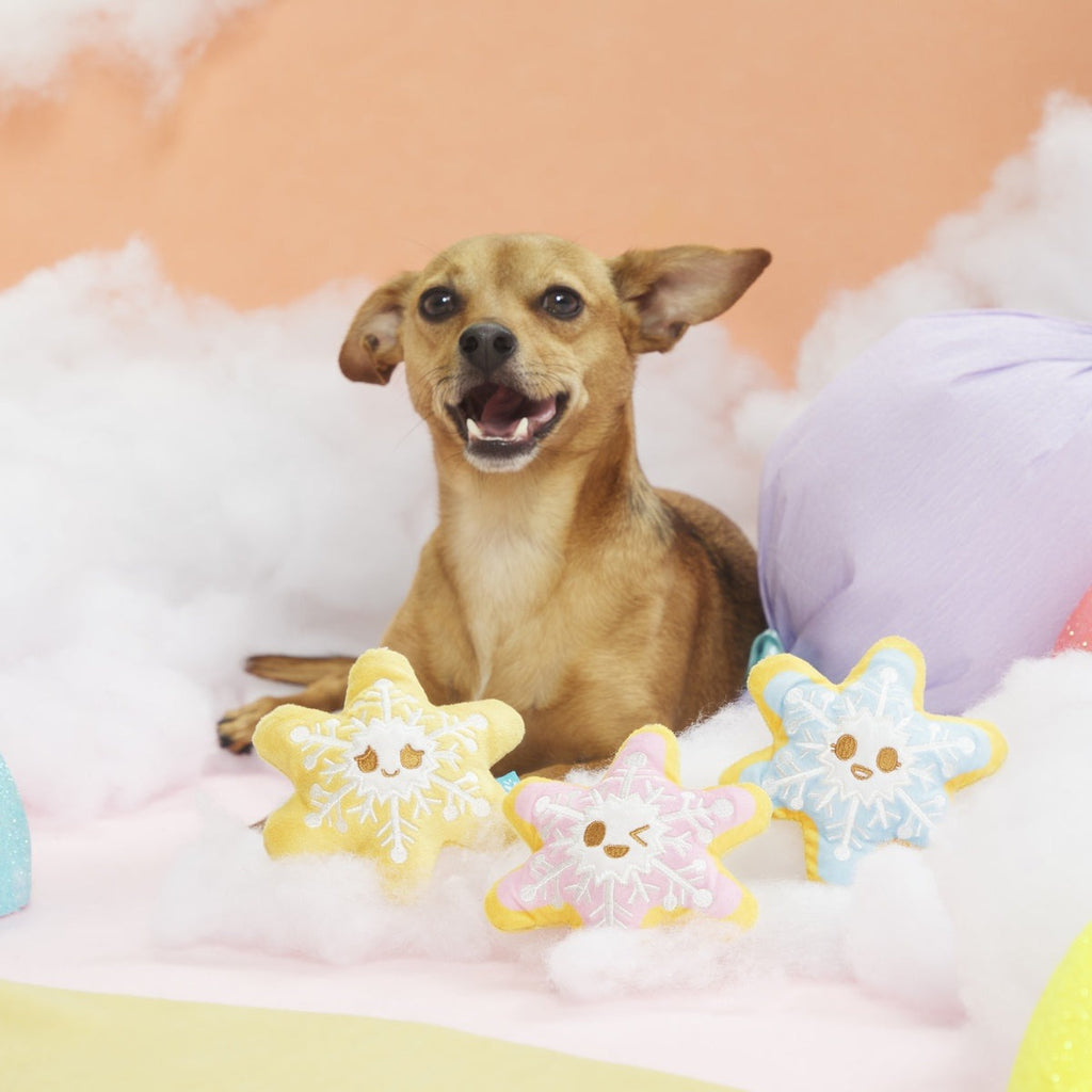 Flake N' Bake Cookies Plush Multi-Part Dog Toy