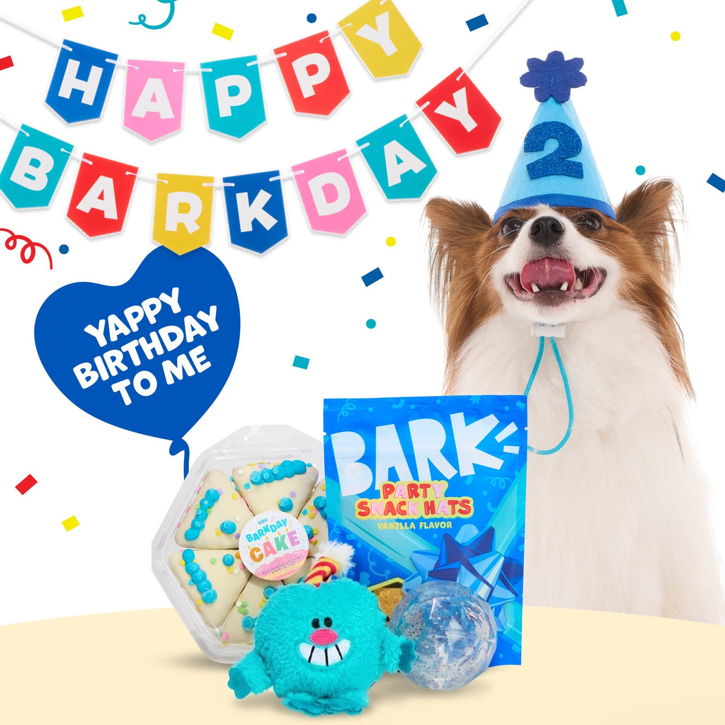 Birthday Super Chewer Gift Box
