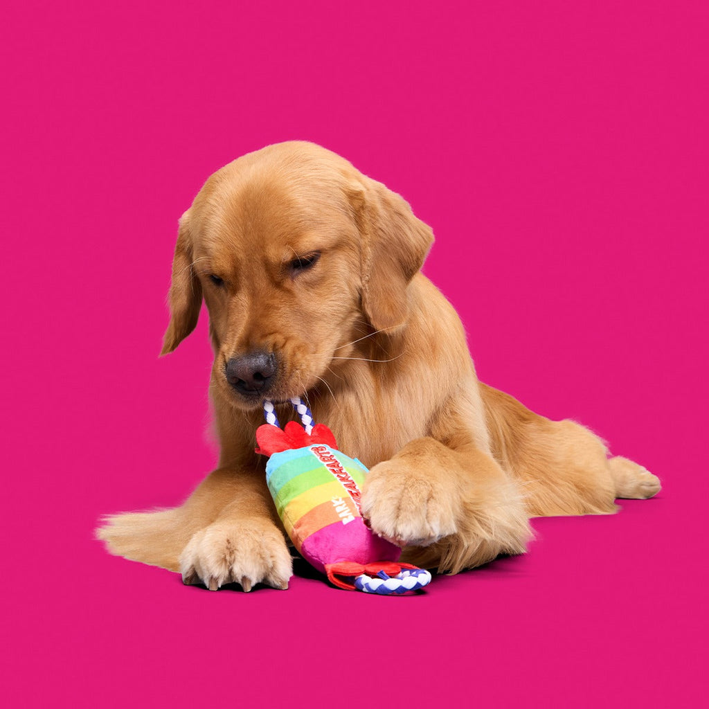 SqueakFarts Candy Plush Tug Dog Toy