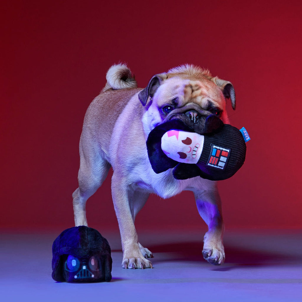 Obey Your Master Plush Multi-Part Dog Toy