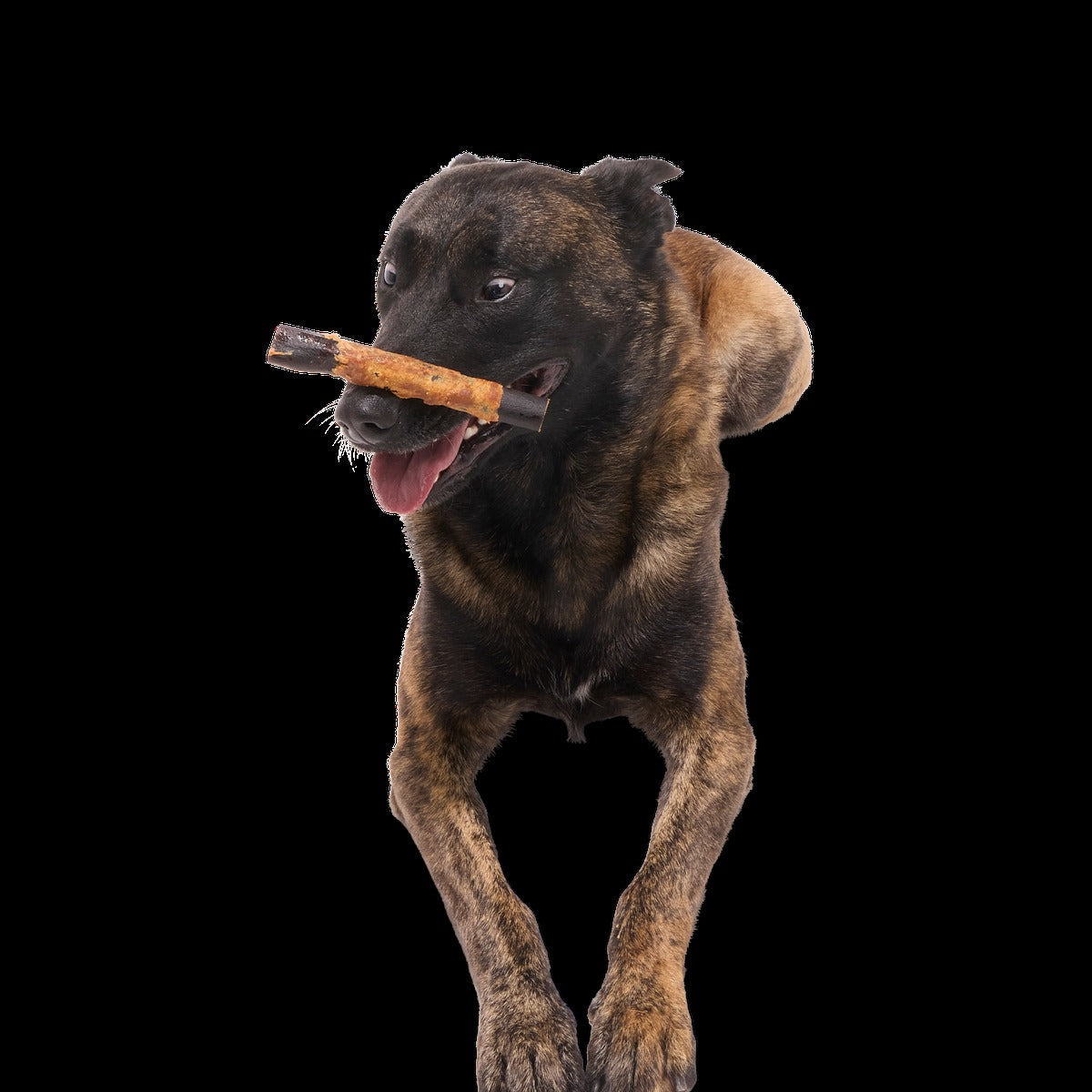 Variety Pack Collagen Dog Chews, 3 Ct
