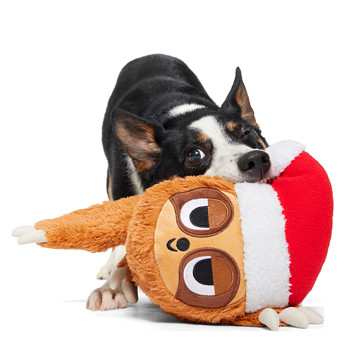 Let It Slow Plush Extra-Large + Tug Dog Toy