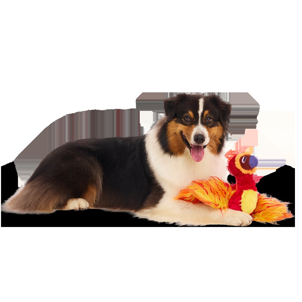 FawkesTM Plush Tug Dog Toy