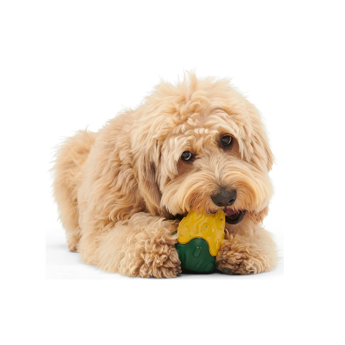 Good Gourd Gnaw Mighty Super Chewer Durable Dog Toy