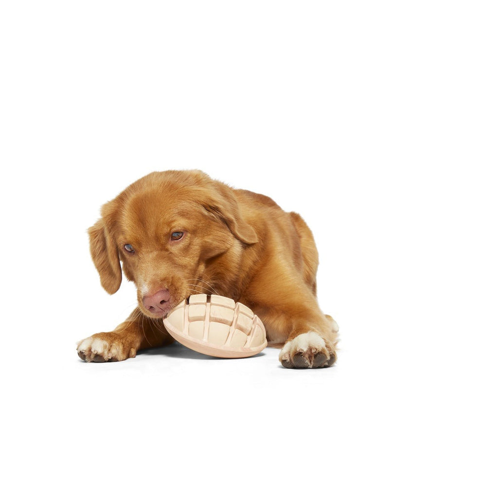 Mutterball Turkey Durable Super Chewer 2-in-1 Rip and Reveal + Tug Dog Toy