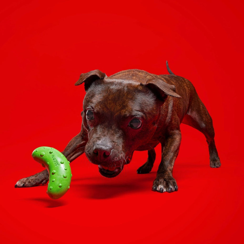 Pickle Stickle Super Chewer Durable Gnaw Dog Toy